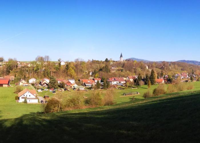 Unsere Ferienwohnung Stefan Im Riesengebirge! Dolni Lanov Exterior photo